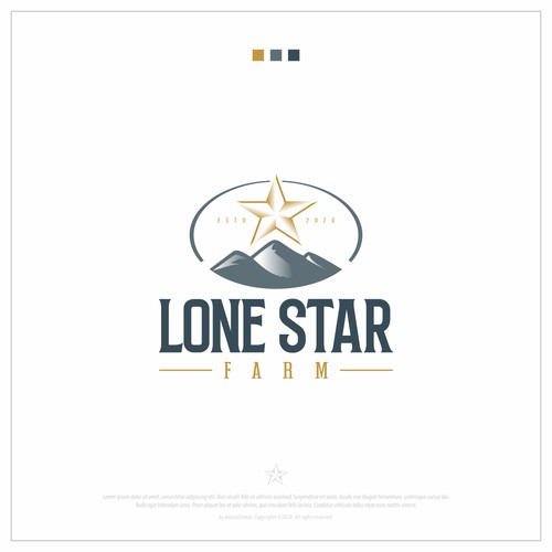 Lone Star Brand Concept