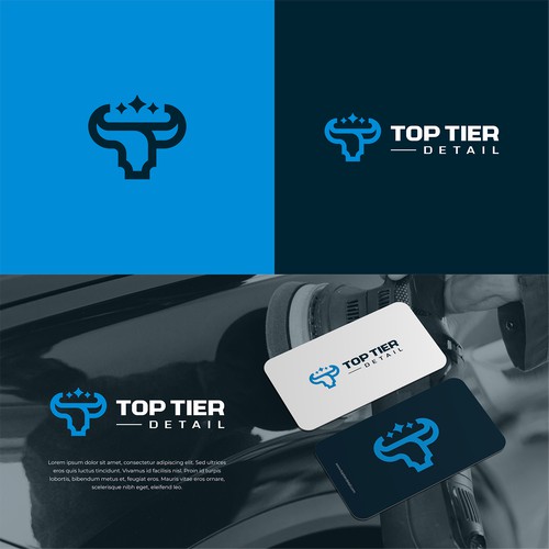logo concept for top tier detail