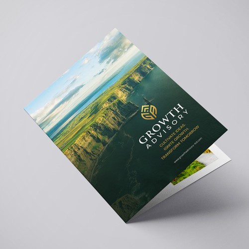 High-end consulting brochure