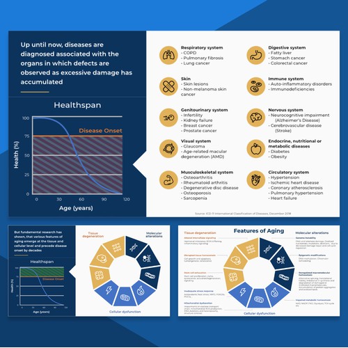 Slideshow Redesign for Medical Company