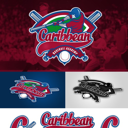Create a logo for a baseball academy.