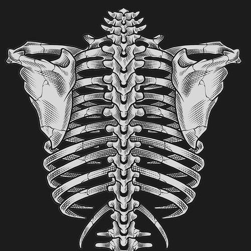 skeleton engraving style