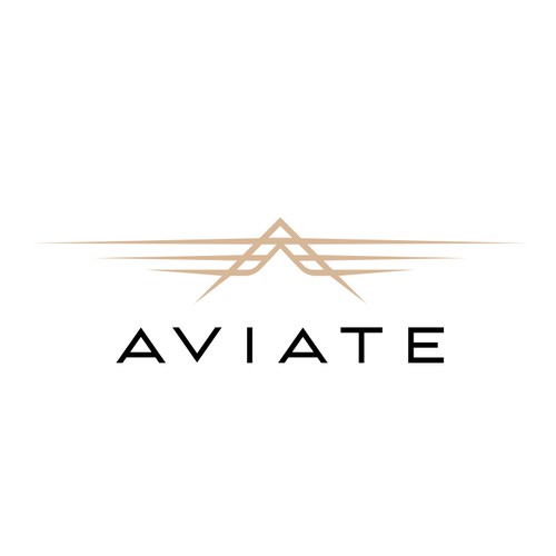 Aviation repair