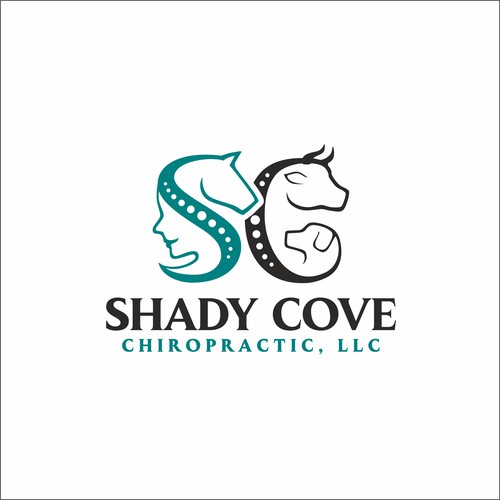 SHADY COVE CHIROPRACTIC