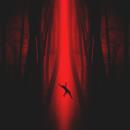 Book cover "The Night Light"