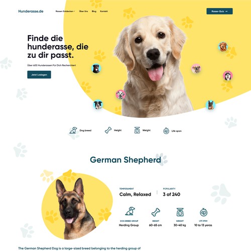 Hunderasse web design