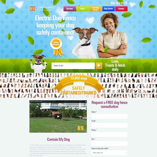 Friendly website for electric dog fence company.