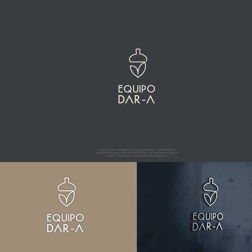 Equipo DAR-A