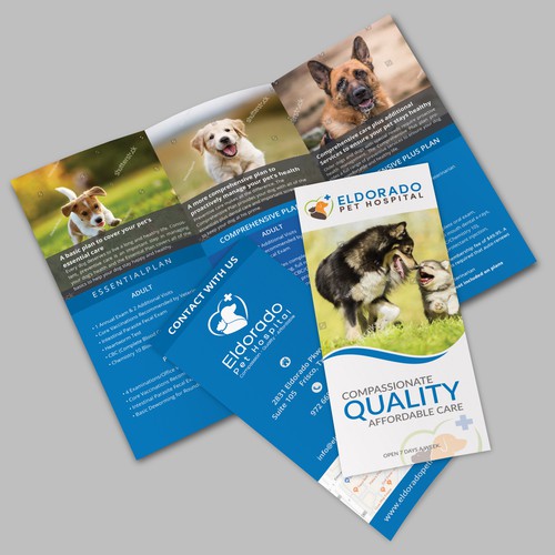 Tri-fold Brochure Design 