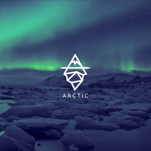 Arctic logo design