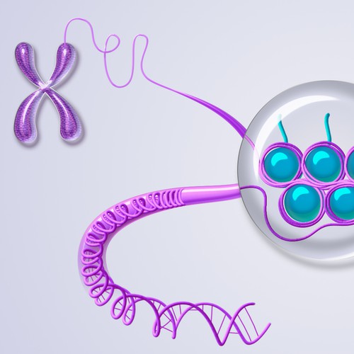 Graphic on the biology of chromatin for biotech company