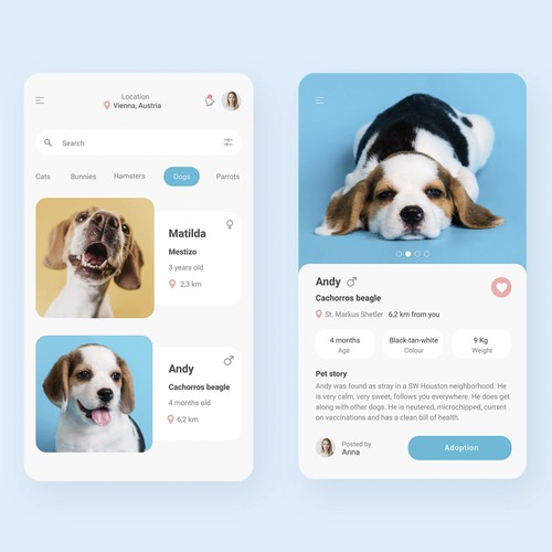 Pets Adoption App