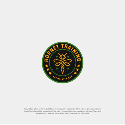 Logo Concept for Hornet Training