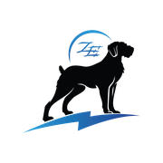 Reviewed design