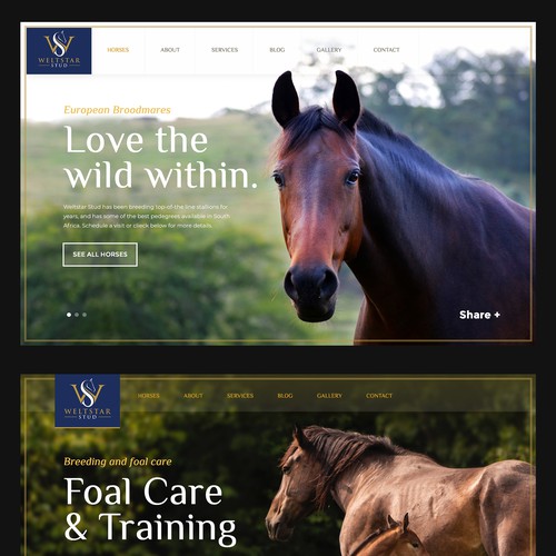 Luxury Stallion Stud farm Website 