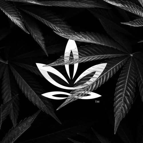 Craft Cannabis Report Logo Design