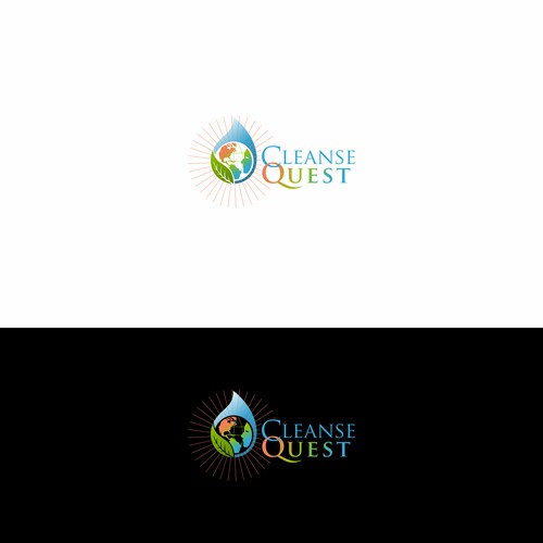 Logo concept for Health and Wellness Cleanse and Detox company