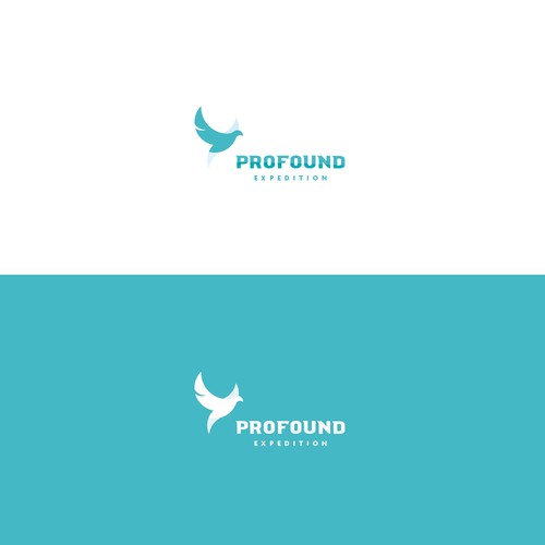 Profound Expedition 2