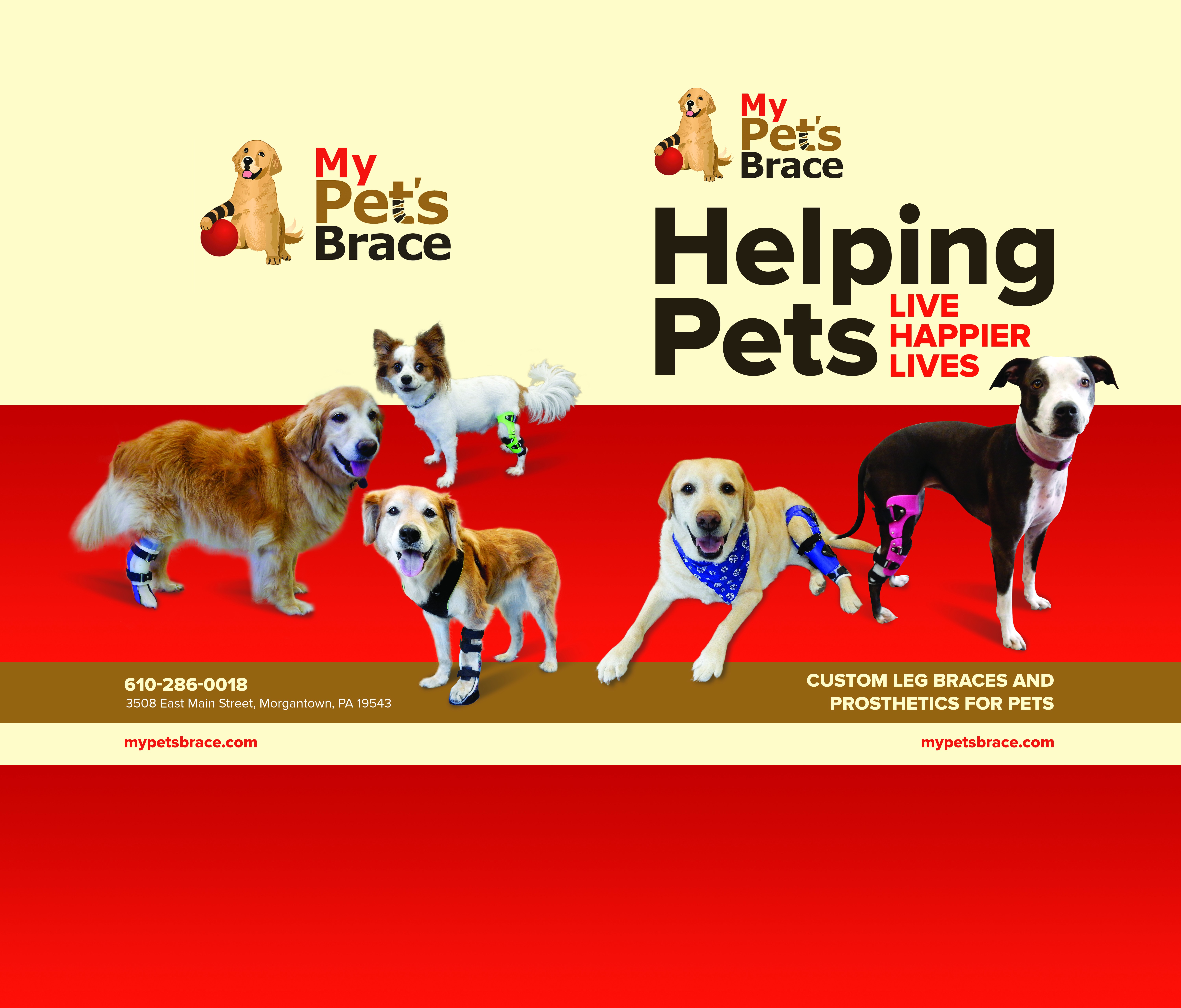 Create a Pocket Folder for My Pet's Brace - Must Love Dogs!