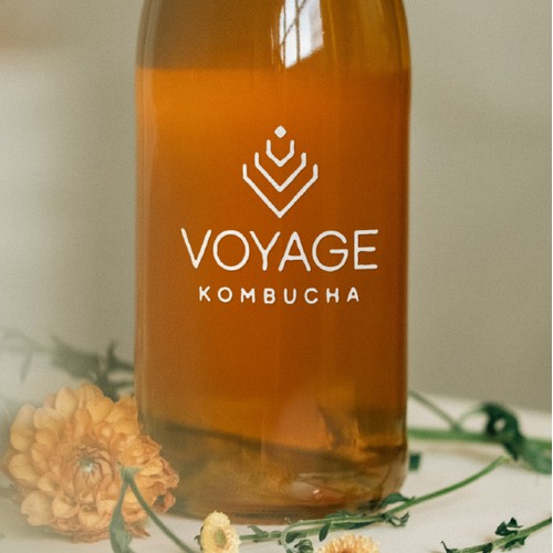 Romania's Coolest New Fermented Adventure Voyage Kombucha