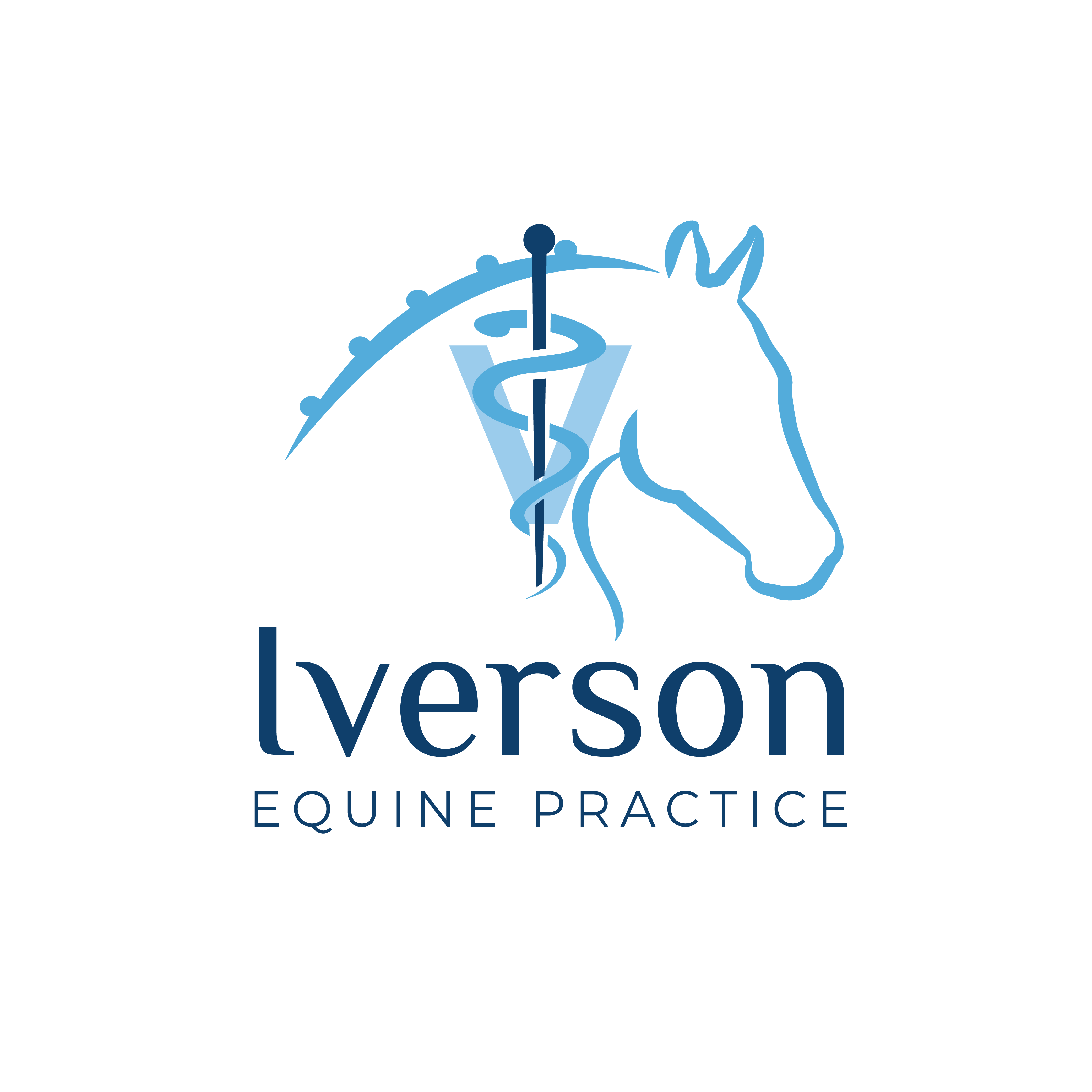 Create a unique logo for a horse veterinary practice