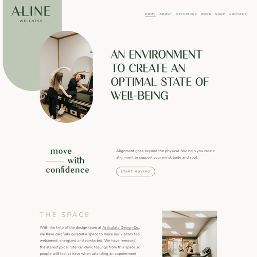Aline Wellness Search Engine Optimization