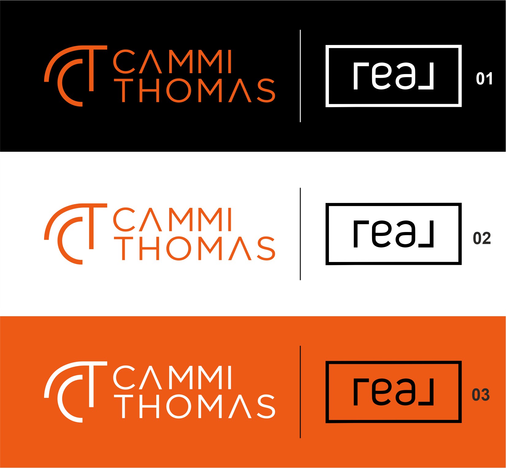 Update Logo, Color Variations 