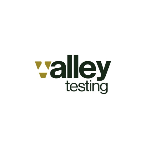 Valley Testing Logo