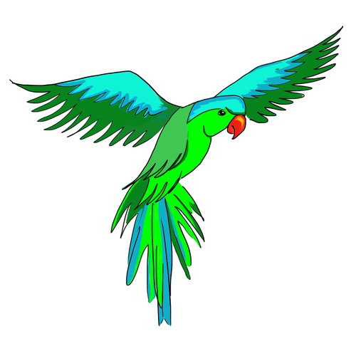 Colorful Bird in flight
