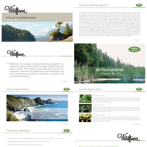 Power Point Presentation for Medical Marijuana Company