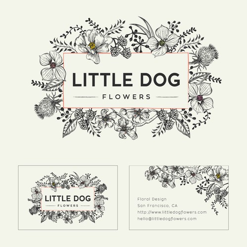 Logo & business card design