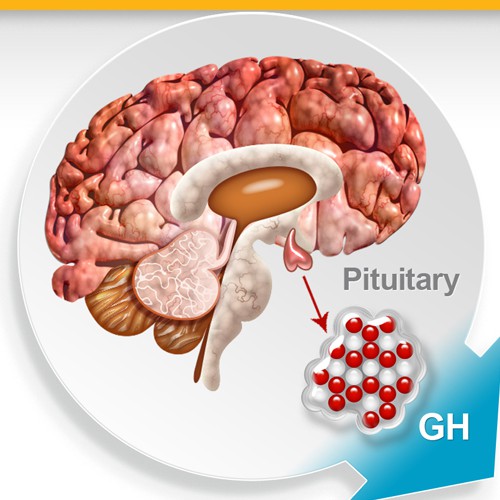 Creative illustration for biotechnology company