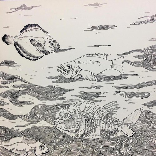 Fishes Drawing Illustration