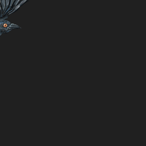 Logiclues logo animation