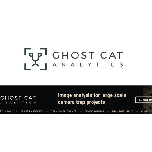 Ghost Cat Analytics
