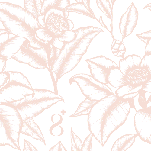 Apothecary, Clean and Healthy Brand