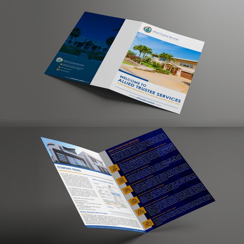 Bold brochure concepts