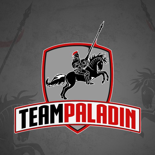 Team Paladin Logo