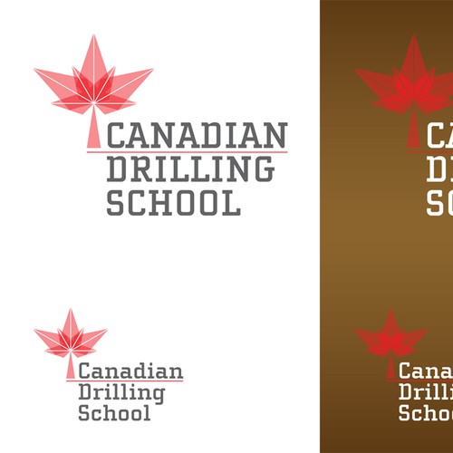 Create the next logo for Canadian Drilling School