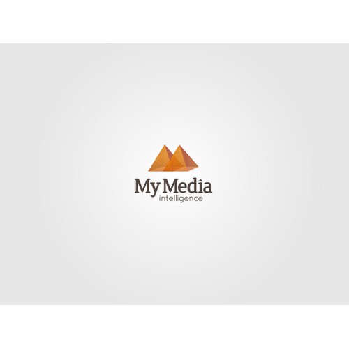 Media Agency