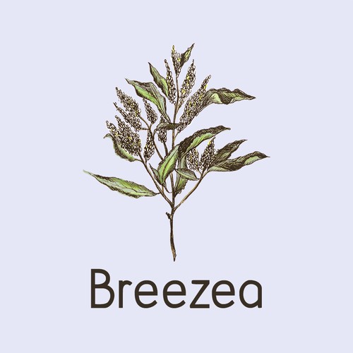 Logo concept for Breezea