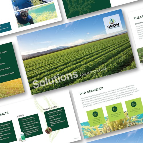 Pitch deck for agriculture business