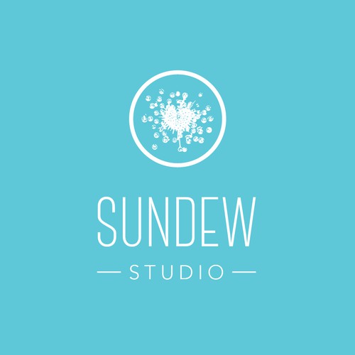 Sundew Studio
