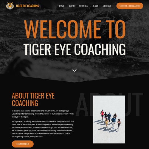 Tiger Eye Coaching Design