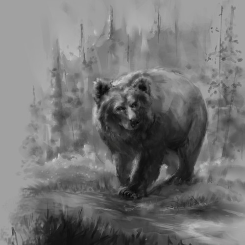 Grizzly bear sketch