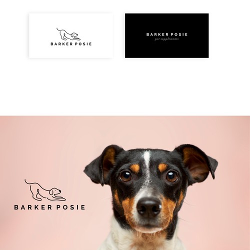 Minimal and eye-catching logo design for pet brand