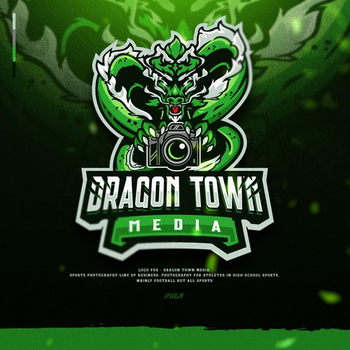 Sports Photography logo for "Dragon Town Media"