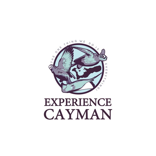Company in the Cayman Islands needs sleek new professional logo