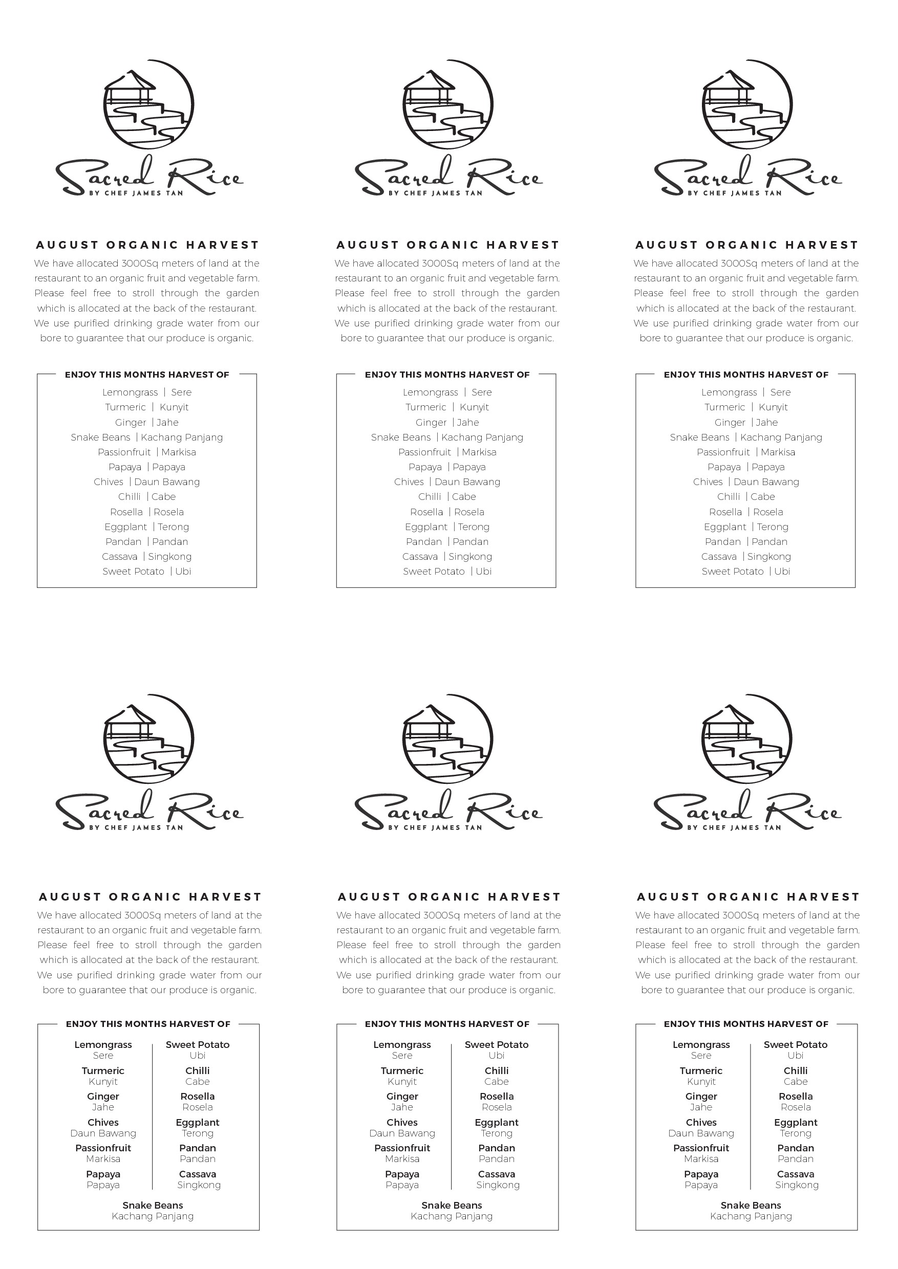 Simple Clean Elegant design Menu for Restaurant in Bali