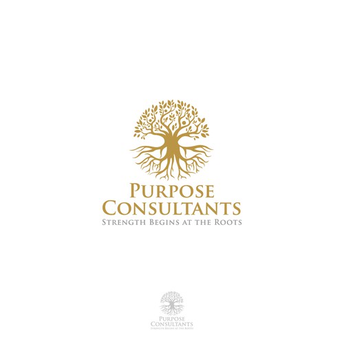 Logo concept for consultants